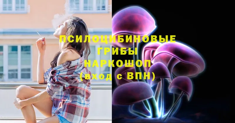 Псилоцибиновые грибы MAGIC MUSHROOMS  купить   Кодинск 